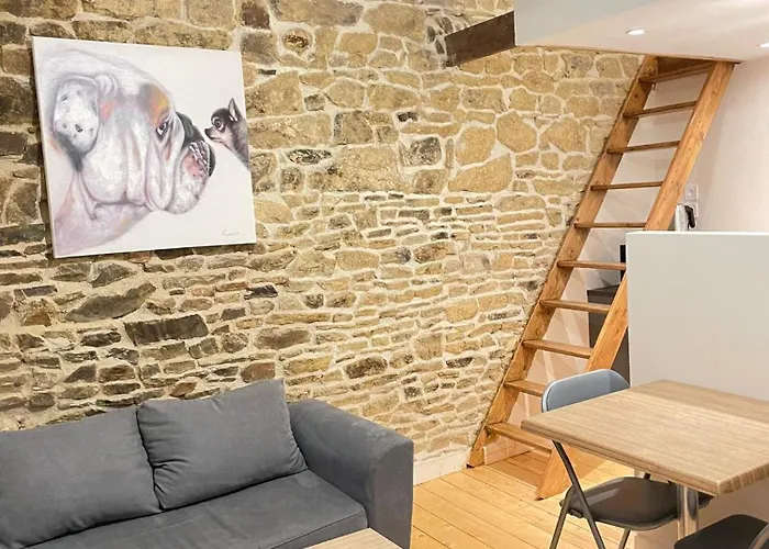 Studio Cosy Au Coeur De Fougeres